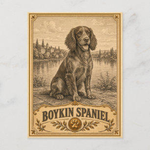 Boykin Spaniel, Vintage Heritage Hund Postkarte
