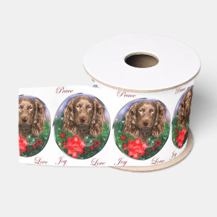 Boykin Spaniel Weihnachten Ripsband