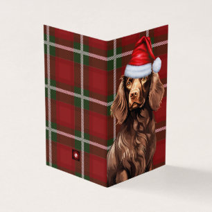 Boykin Spaniel Weihnachtshund mit Holiday Kariert
