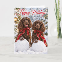 Boykin Spaniel Weihnachtskarte Feiertagskarte
