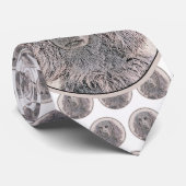 Boykin Spanische Malerei - Niedliche Hundekunst Krawatte (Gerollt)