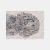 Boykin Spanischmalerei - Niedliche Original Dog Ar Fleecedecke (Vorderseite (Horizontal))