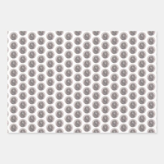 Boykin Spanischmalerei - Niedliche Original Dog Ar Geschenkpapier Set (Vorderseite 2)