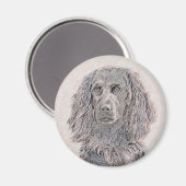 Boykin Spanischmalerei - Niedliche Original Dog Ar Magnet (Vorderseite/Rückseite)