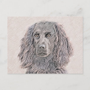 Boykin Spanischmalerei - Niedliche Original Dog Ar Postkarte