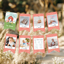 Boys Cute Farm 1st Birthday Milestone Photo Wimpelkette