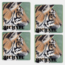 Boys eisen auf Kleidung Labels Tiger & NAME