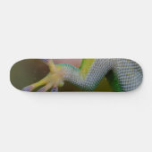 Boy's Gecko Skateboard (Horizontal)