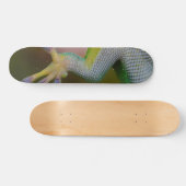 Boy's Gecko Skateboard (Horizontal)
