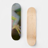 Boy's Gecko Skateboard (Vorderseite)