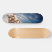 Boy's Owl Skateboard (Horizontal)