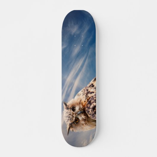 Boy's Owl Skateboard (Vorne)