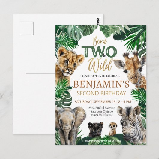 Boys Safari Two Wild Geburtstag Postkarte (Vorne/Hinten)