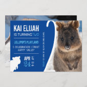 Boys Second Birthday Blue Quokka Australien Foto Einladung (Vorne/Hinten)