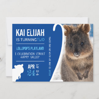 Boys Second Birthday Blue Quokka Australien Foto Einladung