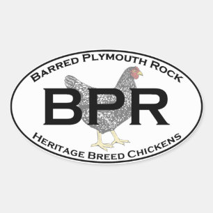 BPR - Barred Plymouth Rock Heritage Breed Chickens Ovaler Aufkleber