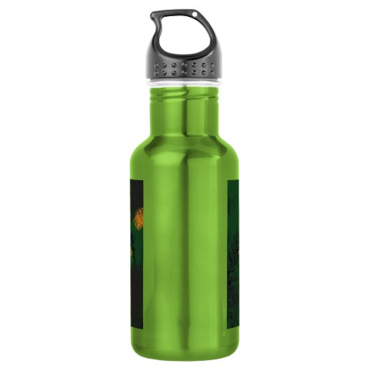 BR Brasilianische Flagge Edelstahlflasche (Rückseite)