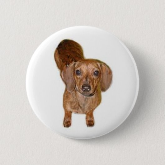 br.dachshund button (Vorderseite)