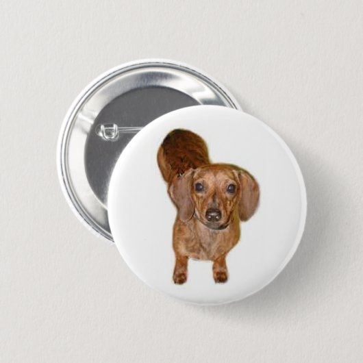 br.dachshund button (Vorne & Hinten)