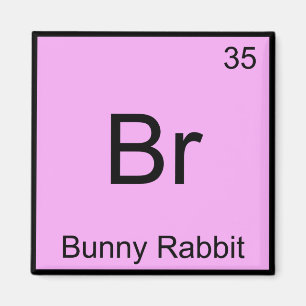Br - Symbol für das Bunny Rabbit Funny Chemistry E Magnet