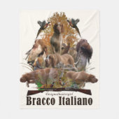 Bracco italiano fleecedecke (Vorderseite)