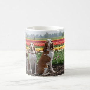 Bracco_italiano group.png kaffeetasse