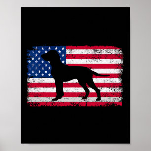 Bracco Italiano Lover 4. Juli Patriotic Americ Poster