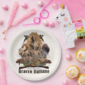 Bracco italiano Sherpa Decke Pappteller (Party)