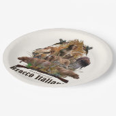 Bracco italiano Sherpa Decke Pappteller (Schrägansicht)