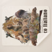 Bracco italiano sherpadecke (Vorderseite (Horizontal))