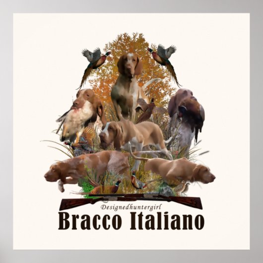 Bracco italiano Wandteppiche Imitate Leinwand-Acry Poster (Vorne)