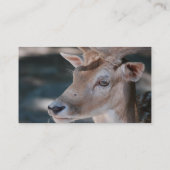 Brache-Rotwild-Visitenkarte Visitenkarte (Rückseite)