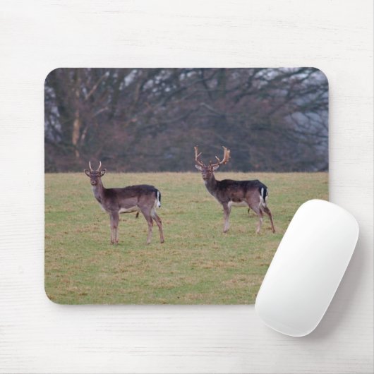 Bracherotwild Mousepad (Mit Mouse)