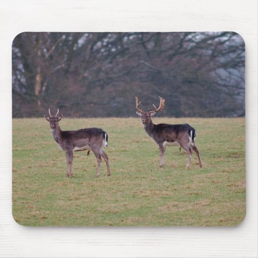 Bracherotwild Mousepad (Vorne)