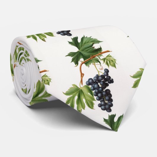 Brachetto Traube von Giorgio Gallesio Neck Tie Krawatte (Gerollt)