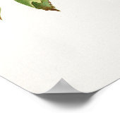 Brachetto Traube von Giorgio Gallesio Poster (Ecke)