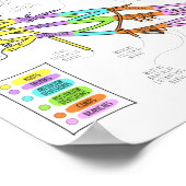 Brachial Plexus Poster (Ecke)