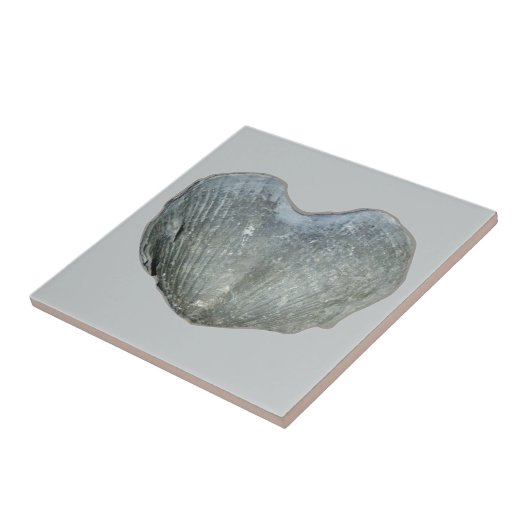 Brachiopod Herz Fliese (Seite)