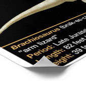 Brachiosaurus - Biology Jurassic Poster (Ecke)