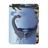 Brachiosaurus dinosaurier in Wasser - 3D-Darstellu Magnet (Vertikal)