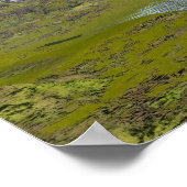 Brachiosaurus-Dinosaurier in Wasser - 3D-Darstellu Poster (Ecke)