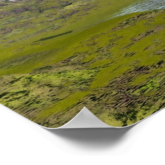 Brachiosaurus-Dinosaurier in Wasser - 3D-Darstellu Poster (Ecke)