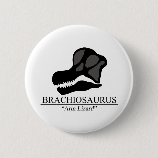 Brachiosaurus Skull Button (Vorderseite)