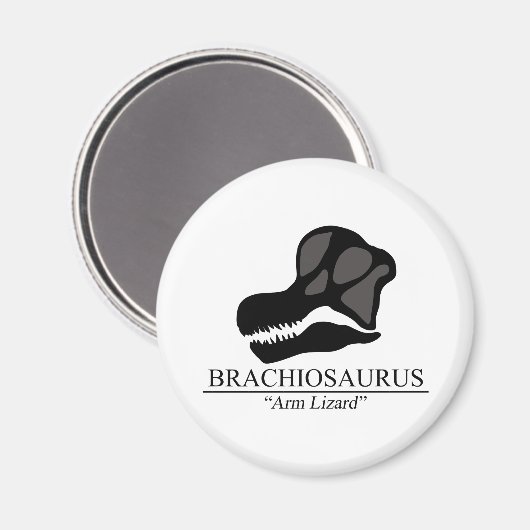 Brachiosaurus Skull Magnet (Vorderseite/Rückseite)