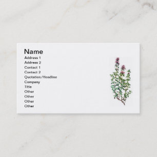 Brachland Visitenkarte