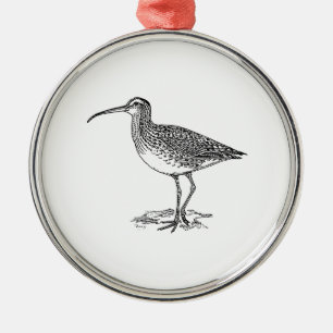 Brachvogel-Vogel-Illustration Silbernes Ornament
