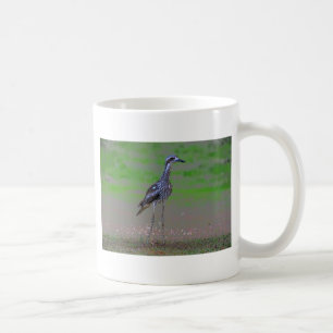 BRACHVOGEL-VOGEL LÄNDLICHES QUEENSLAND AUSTRALIEN KAFFEETASSE