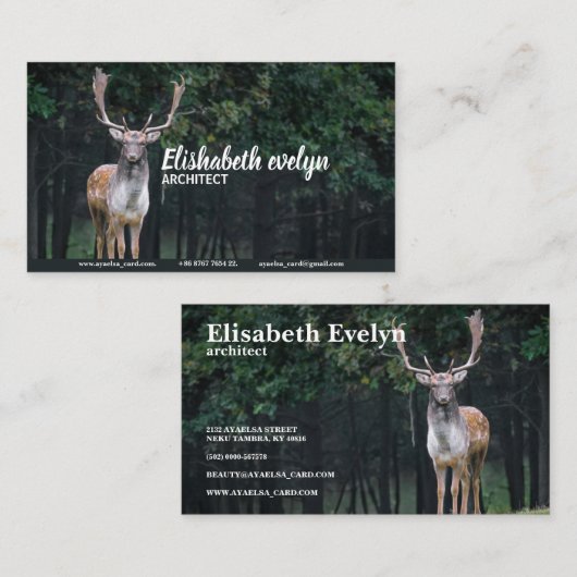 Brachwild Visitenkarte (Vorne/Hinten)