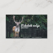 Brachwild Visitenkarte (Vorderseite)