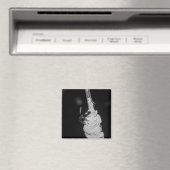 Brachygastra Magnet (In Situ (Geschirrspüler))